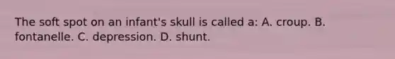 The soft spot on an infant's skull is called a: A. croup. B. fontanelle. C. depression. D. shunt.