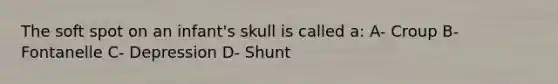 The soft spot on an infant's skull is called a: A- Croup B- Fontanelle C- Depression D- Shunt