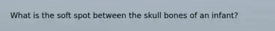 What is the soft spot between the skull bones of an infant?