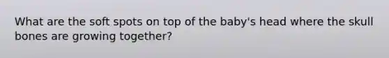 What are the soft spots on top of the baby's head where the skull bones are growing together?