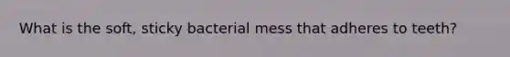 What is the soft, sticky bacterial mess that adheres to teeth?