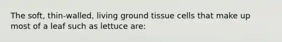 The soft, thin-walled, living ground tissue cells that make up most of a leaf such as lettuce are: