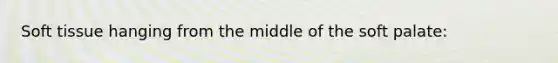 Soft tissue hanging from the middle of the soft palate: