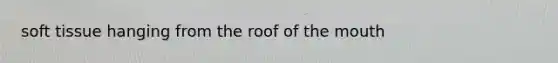 soft tissue hanging from the roof of the mouth