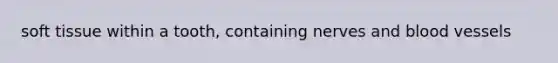 soft tissue within a tooth, containing nerves and blood vessels