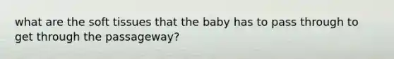 what are the soft tissues that the baby has to pass through to get through the passageway?