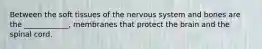 Between the soft tissues of the nervous system and bones are the ____________, membranes that protect the brain and the spinal cord.