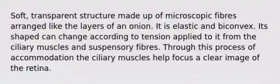 Soft, transparent structure made up of microscopic fibres arranged like the layers of an onion. It is elastic and biconvex. Its shaped can change according to tension applied to it from the ciliary muscles and suspensory fibres. Through this process of accommodation the ciliary muscles help focus a clear image of the retina.