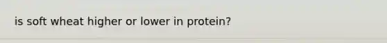 is soft wheat higher or lower in protein?