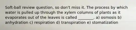 Soft-ball review question, so don't miss it. The process by which water is pulled up through the xylem columns of plants as it evaporates out of the leaves is called ________. a) osmosis b) anhydration c) respiration d) transpiration e) stomatization