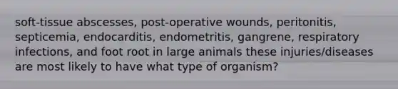 soft-tissue abscesses, post-operative wounds, peritonitis, septicemia, endocarditis, endometritis, gangrene, respiratory infections, and foot root in large animals these injuries/diseases are most likely to have what type of organism?