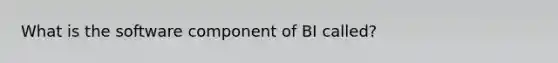 What is the software component of BI called?