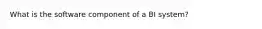 What is the software component of a BI system?