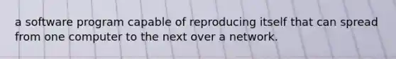 a software program capable of reproducing itself that can spread from one computer to the next over a network.