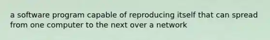 a software program capable of reproducing itself that can spread from one computer to the next over a network