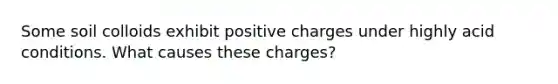 Some soil colloids exhibit positive charges under highly acid conditions. What causes these charges?