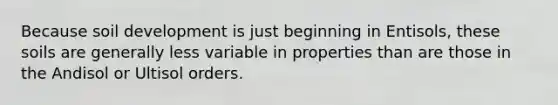 Because soil development is just beginning in Entisols, these soils are generally less variable in properties than are those in the Andisol or Ultisol orders.