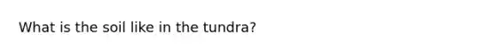 What is the soil like in the tundra?