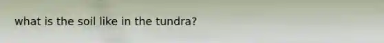 what is the soil like in the tundra?