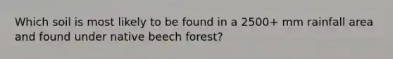 Which soil is most likely to be found in a 2500+ mm rainfall area and found under native beech forest?