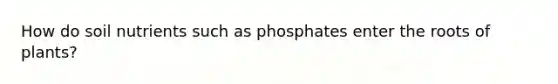 How do soil nutrients such as phosphates enter the roots of plants?