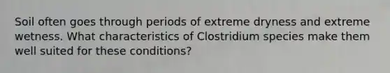 Soil often goes through periods of extreme dryness and extreme wetness. What characteristics of Clostridium species make them well suited for these conditions?