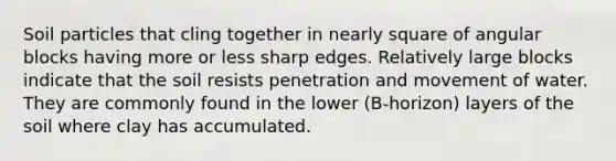 Soil particles that cling together in nearly square of angular blocks having more or less sharp edges. Relatively large blocks indicate that the soil resists penetration and movement of water. They are commonly found in the lower (B-horizon) layers of the soil where clay has accumulated.