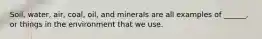 Soil, water, air, coal, oil, and minerals are all examples of ______, or things in the environment that we use.