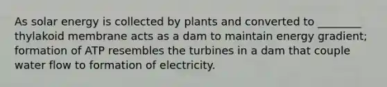 As solar energy is collected by plants and converted to ________ thylakoid membrane acts as a dam to maintain energy gradient; formation of ATP resembles the turbines in a dam that couple water flow to formation of electricity.