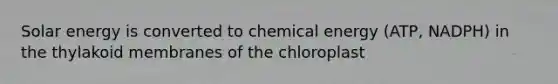 Solar energy is converted to chemical energy (ATP, NADPH) in the thylakoid membranes of the chloroplast