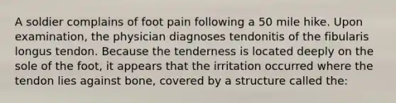 A soldier complains of foot pain following a 50 mile hike. Upon examination, the physician diagnoses tendonitis of the fibularis longus tendon. Because the tenderness is located deeply on the sole of the foot, it appears that the irritation occurred where the tendon lies against bone, covered by a structure called the: