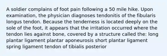 A soldier complains of foot pain following a 50 mile hike. Upon examination, the physician diagnoses tendonitis of the fibularis longus tendon. Because the tenderness is located deeply on the sole of the foot, it appears that the irritation occurred where the tendon lies against bone, covered by a structure called the: long plantar ligament plantar aponeurosis short plantar ligament spring ligament tendon of tibialis posterior