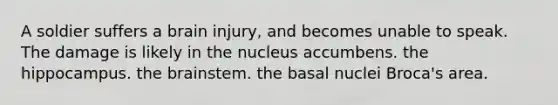 A soldier suffers a brain injury, and becomes unable to speak. The damage is likely in the nucleus accumbens. the hippocampus. the brainstem. the basal nuclei Broca's area.