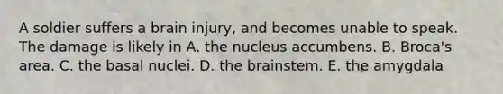 A soldier suffers a brain injury, and becomes unable to speak. The damage is likely in A. the nucleus accumbens. B. Broca's area. C. the basal nuclei. D. <a href='https://www.questionai.com/knowledge/kLMtJeqKp6-the-brain' class='anchor-knowledge'>the brain</a>stem. E. the amygdala