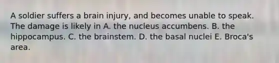 A soldier suffers a brain injury, and becomes unable to speak. The damage is likely in A. the nucleus accumbens. B. the hippocampus. C. the brainstem. D. the basal nuclei E. Broca's area.