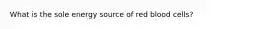 What is the sole energy source of red blood cells?