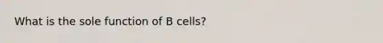 What is the sole function of B cells?