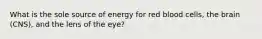 What is the sole source of energy for red blood cells, the brain (CNS), and the lens of the eye?