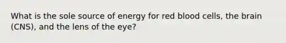 What is the sole source of energy for red blood cells, the brain (CNS), and the lens of the eye?