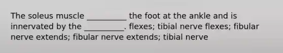 The soleus muscle __________ the foot at the ankle and is innervated by the __________. flexes; tibial nerve flexes; fibular nerve extends; fibular nerve extends; tibial nerve