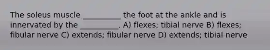 The soleus muscle __________ the foot at the ankle and is innervated by the __________. A) flexes; tibial nerve B) flexes; fibular nerve C) extends; fibular nerve D) extends; tibial nerve