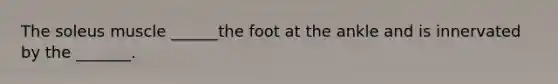 The soleus muscle ______the foot at the ankle and is innervated by the _______.