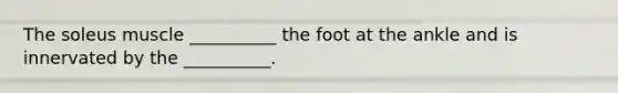 The soleus muscle __________ the foot at the ankle and is innervated by the __________.