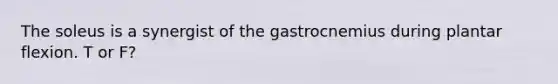 The soleus is a synergist of the gastrocnemius during plantar flexion. T or F?