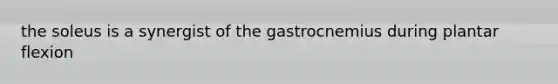 the soleus is a synergist of the gastrocnemius during plantar flexion
