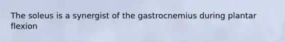 The soleus is a synergist of the gastrocnemius during plantar flexion