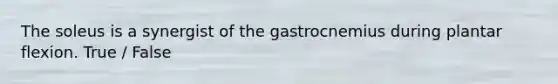 The soleus is a synergist of the gastrocnemius during plantar flexion. True / False