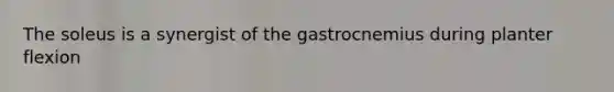 The soleus is a synergist of the gastrocnemius during planter flexion