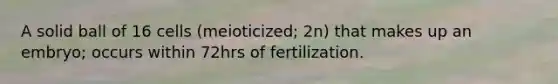 A solid ball of 16 cells (meioticized; 2n) that makes up an embryo; occurs within 72hrs of fertilization.