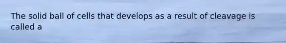 The solid ball of cells that develops as a result of cleavage is called a